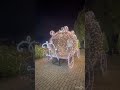 Cinderella lights | short