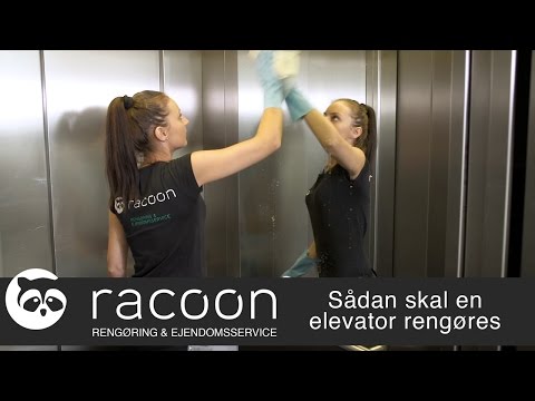 Video: Sådan Rengøres En Skal