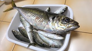 【爺ちゃんの晩飯】自分で釣ったイワシとヒゲの親分にもらったアジ