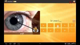 Learn French with Fun Easy Learn screenshot 5