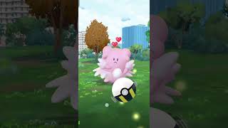 blissey the PokeBall waster 😃 (I HATE IT)
