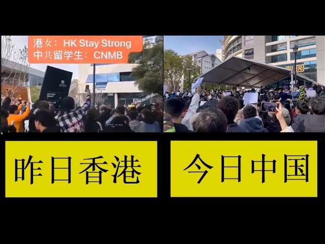 昨日香港，今日中国，中国学生太让香港人失望 class=
