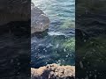 🌊✨Feel the waves, begin anew. Dive into your new life with the sea's energy #waves