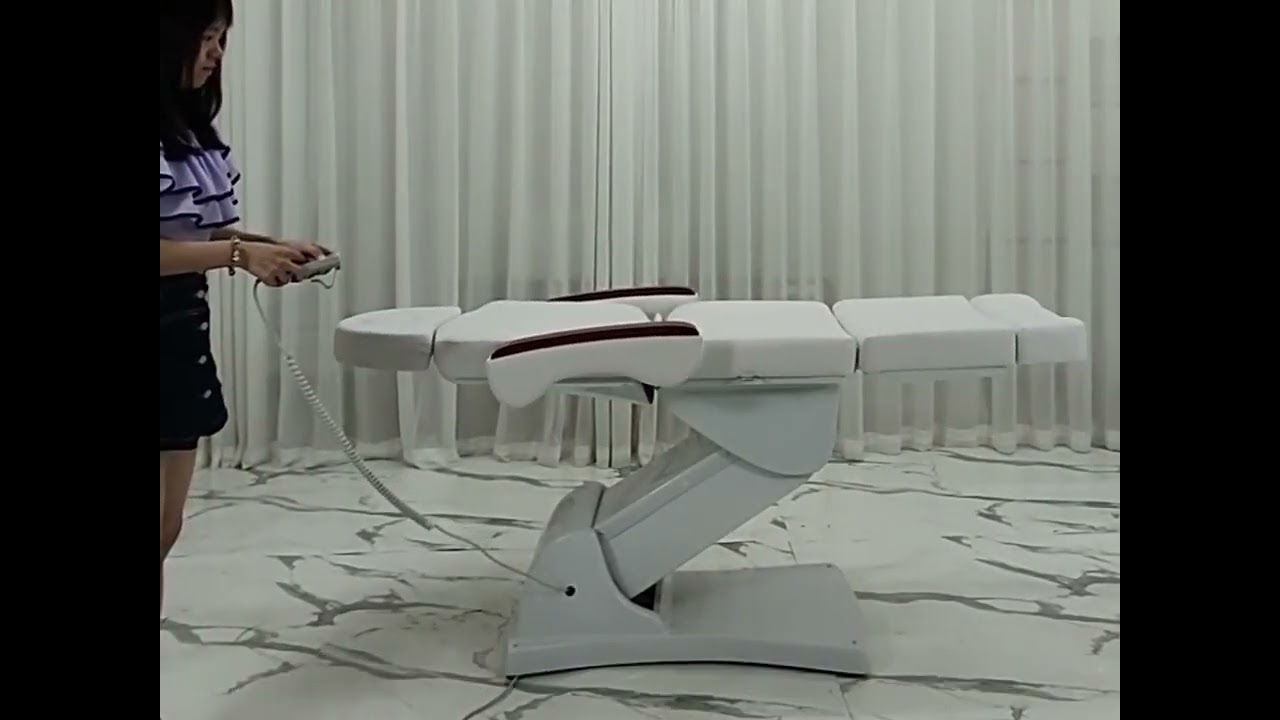 Lip Style 3 Motor Double Column Beauty Massage Bed Spa Bed Facial Tattoo Bed for Beauty Salon