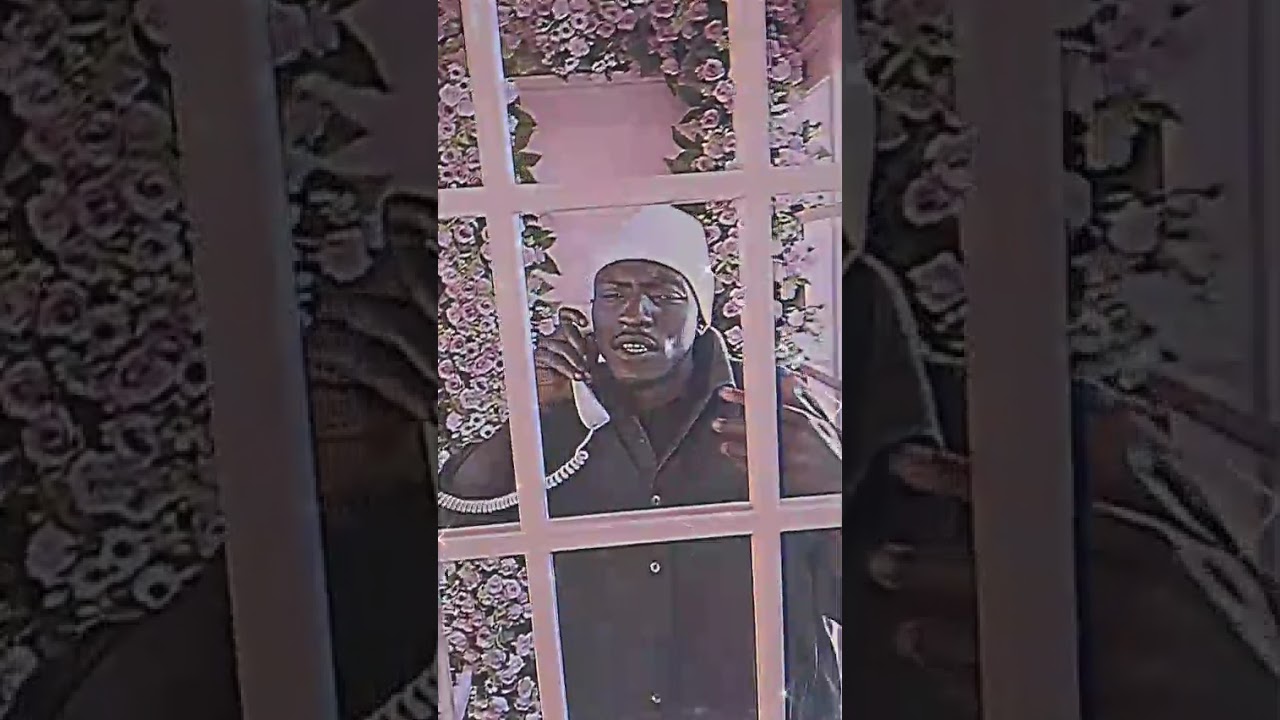 Checked GVG 247 is an emerging force in the African music scene, bringing a bold, energetic sound that blends street authenticity with global appeal. Known for his consistency, presence, and unmistakable vibe, Checked GVG 247 represents a new generation of artists who are not waiting for permission—they’re creating their own momentum.

Their music carries a raw edge while staying rhythmically infectious, pulling listeners in with confidence, cadence, and clarity of voice. Whether delivering high-energy anthems or vibey, melodic records, Checked GVG 247 understands how to create music that connects instantly.


The “247” isn’t just a name—it reflects a relentless work ethic and commitment to growth, showing up daily to refine his craft and expand his reach. That consistency is quickly positioning him as an artist to watch among fans who are drawn to both sound and story.

As part of FAVunite, a global platform dedicated to amplifying authentic African voices, Checked GVG 247 is stepping into a larger narrative—one where culture, creativity, and opportunity intersect. His journey represents the hustle, ambition, and creative power rising across the continent.

With a sound that travels and a brand that stands for persistence, Checked GVG 247 is not just building music—he’s building momentum.