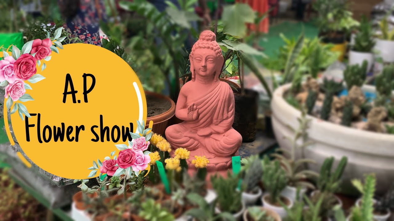 AP Flower Show 2021 Vijayawada Plants Exhibition & Sale Plants for