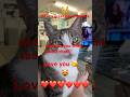 Have A Great Day Catsofyoutube Mrspeel Haveagreatday Lovecat Have A Great Day Catsofyoutube Mrspeel Haveagreatday Lovecat