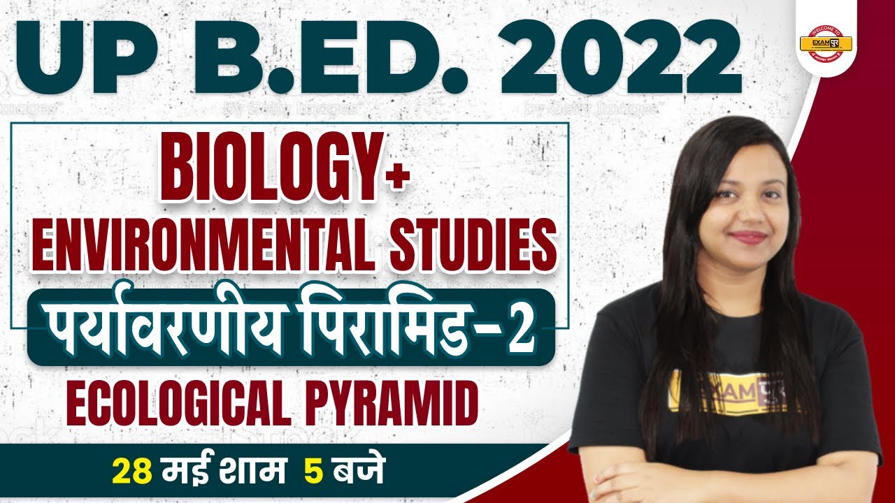 UP BED Biology Classes | UP BED Classes | UP BED Ecological Pyramids | Biology by Amrita Mam