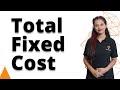 Total Fixed Cost | Cost Curves in Economics | Ecoholics