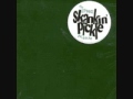 Skankin Pickle - Gates Of Steel - Green