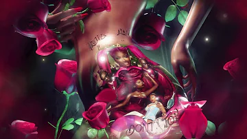 Megan Thee Stallion - Don’t Stop (feat. Young Thug) [Official Clean Audio]