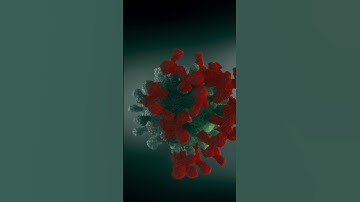 Nutrition Facts: Exploring the Roles of Carbs, Proteins, and Fats