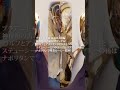 【ブラアニキ★ WADLL後編】8/30(水)21:00プレミア公開! 神保町の古着屋でディグる! ラルフとステューシーとパタゴニアとバブアーの後はナポリタンで喫茶ルービー乾杯!