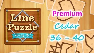 Line Puzzle: String Art - Premium - Cedar - Lv 36-40 screenshot 5