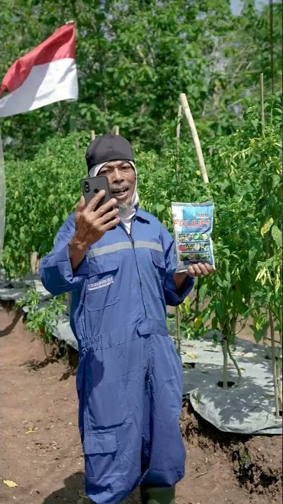 JAVAMAS BAGI BAGI 100 PAKET HADIAH!! #info #cek #Facebook #JavamasAgrophos #kemerdekaan #hutri77