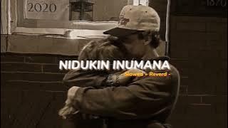 Nidukin Inumana | Slowed Reverd | Dimanka Wellalage 🎧