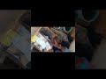 blue polar parrots confirm breeding pair unboxing#fishkeepinghobby #trending