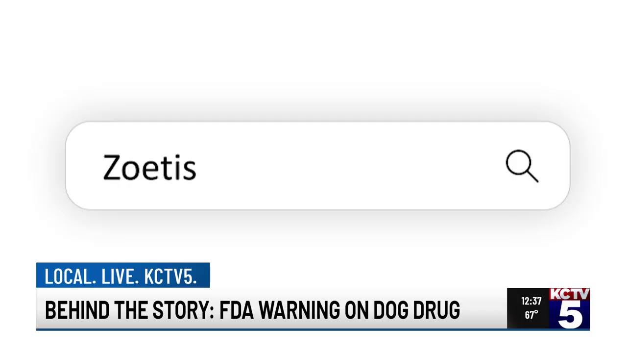 Behind the Story: FDA Warning on Dog Drug