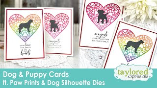 Dog & Puppy Cards | Pet Cards | Taylored Expressions
