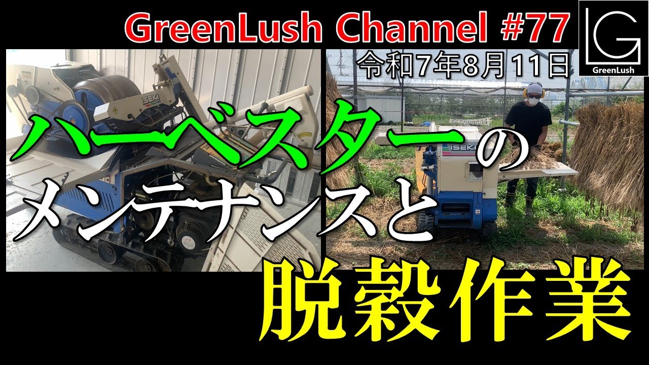 ハーベスターのメンテナンスと脱穀作業【GreenLush Channel#77 2025.08