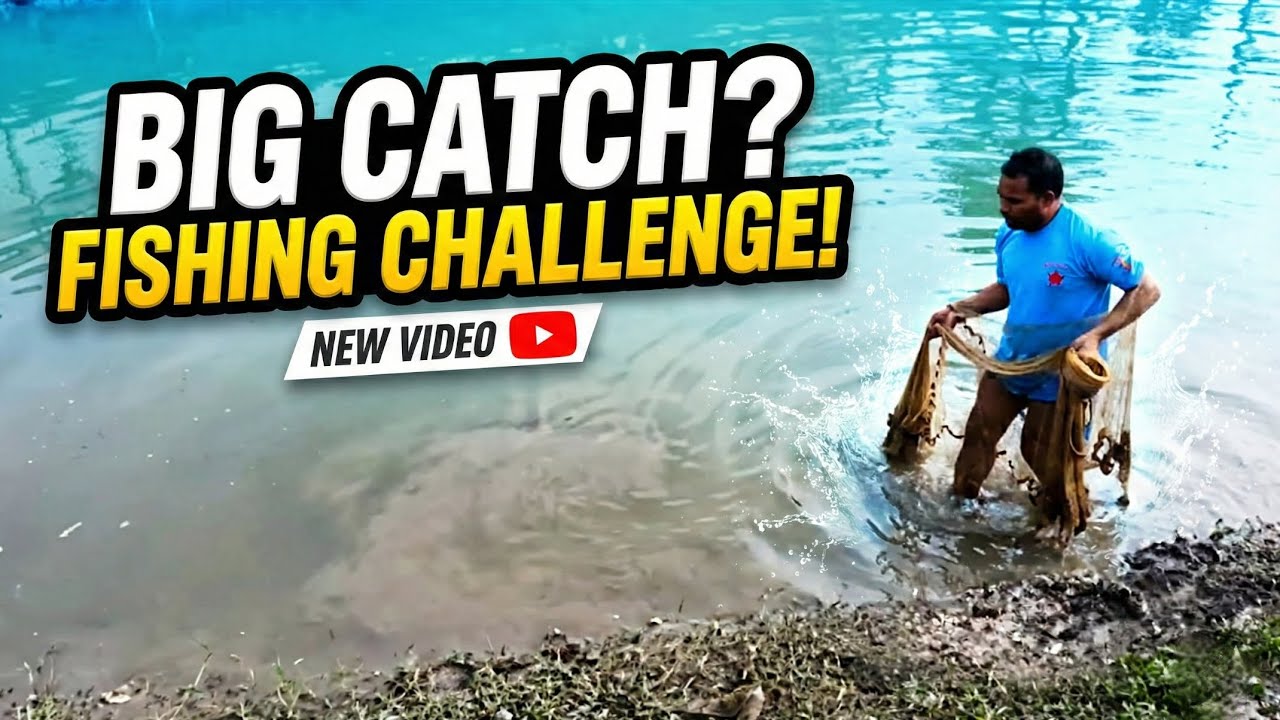 BIG CATCH Challenge! Cast Net Fishing in a Pond 😱🐟
