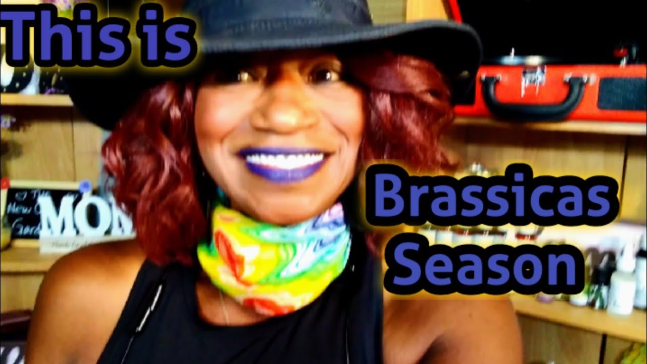 This is Brassicas Season ‼️ YouTube