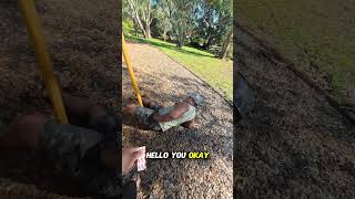 "Soft Parenting vs Island parenting"  |  TriCliques screenshot 5