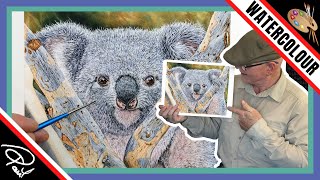 Koala Painting (Patreon 2024) by Wildlife in Watercolour 775 views 4 months ago 9 minutes