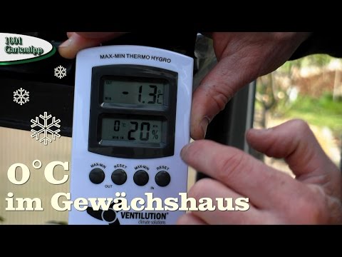 Video: Wie man Paprika in einem Polycarbonat-Gewächshaus anbaut