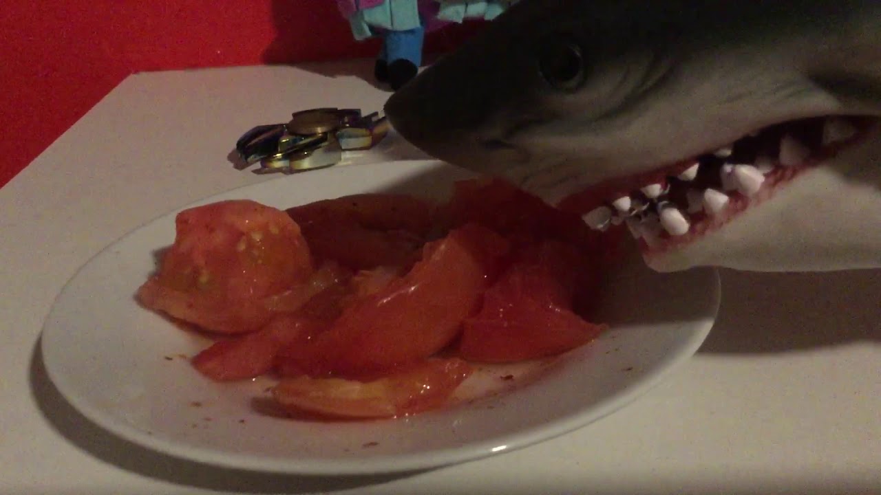 Shark eats to tomatoes 🍅 - YouTube