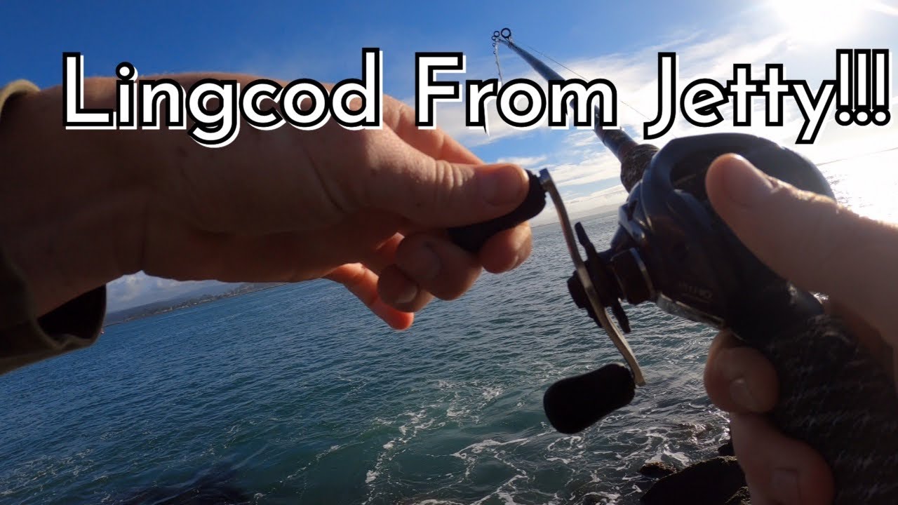 Northern California Rock Fishing From JETTY! *LINGCOD on the JIG* YouTube