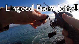 Northern California Rock Fishing From JETTY! *LINGCOD on the JIG*