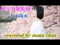 🌸「桜三月散歩道」🌸/井上陽水 covered by numa chan