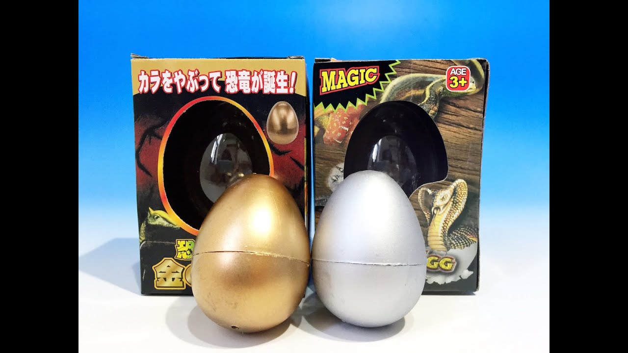 恐竜のたまご Snake Egg へびのたまご なにがでるかな Youtube 恐竜のたまご Snake Egg へびのたまご なにがでるかな Youtube