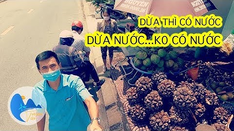 Trái Dừa Nước, Đặc Sản Miền Sông Nước | Du Lịch Miền Tây | Tuan Tai Travel
