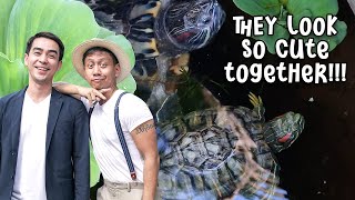 Our Turtle Gets a New Girlfriend | Vlog 1660