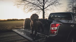 Rico The Working Cocker - Beating on an 80 Bird Day by Rico The Working Cocker Spaniel 655 views 4 months ago 10 minutes, 27 seconds