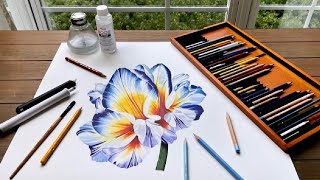 Easy Tip for Drawing Details with Colored Pencils