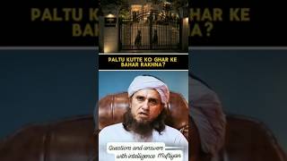 KITTY KO GHAR SE BAHIR PALNA? #questions #answers #islamicshorts #foryou @Questionsandanswer1980