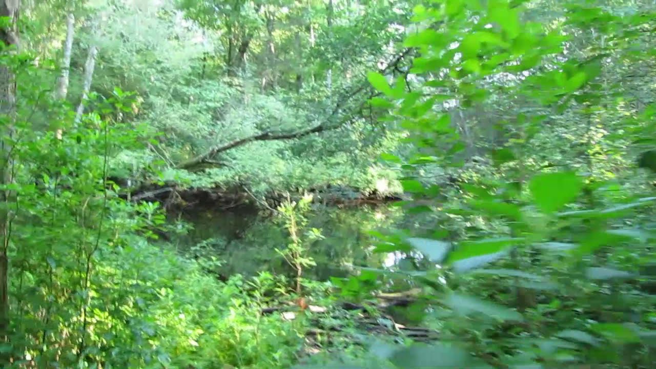 Briggs Park Ashaway RI 8/18/21 YouTube