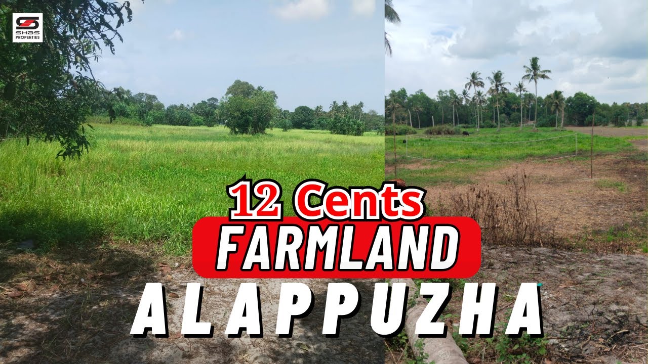 12 Cent farmland for sale in Cherthala, Alappuzha YouTube