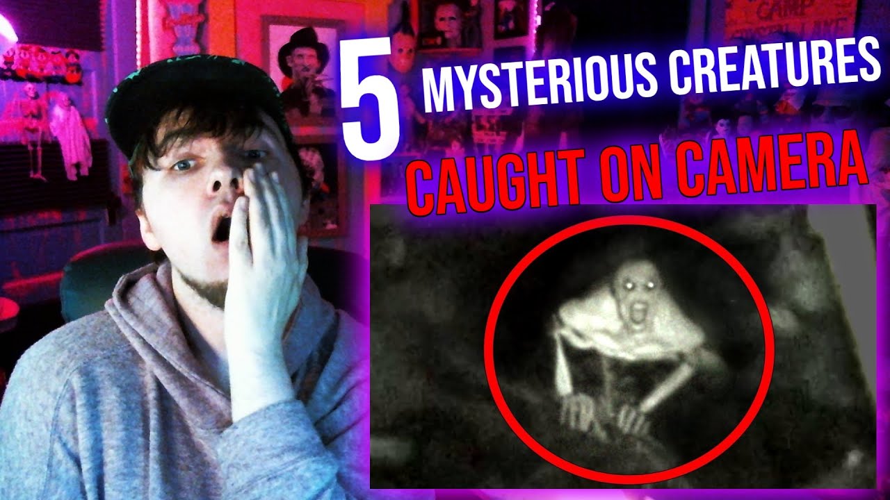 5 Mysterious Creatures Caught On Camera | NUKES TOP 5 REACTION - YouTube