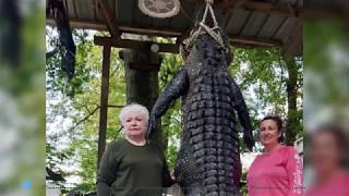 Texan woman kills 12-foot alligator linked to her missing horse