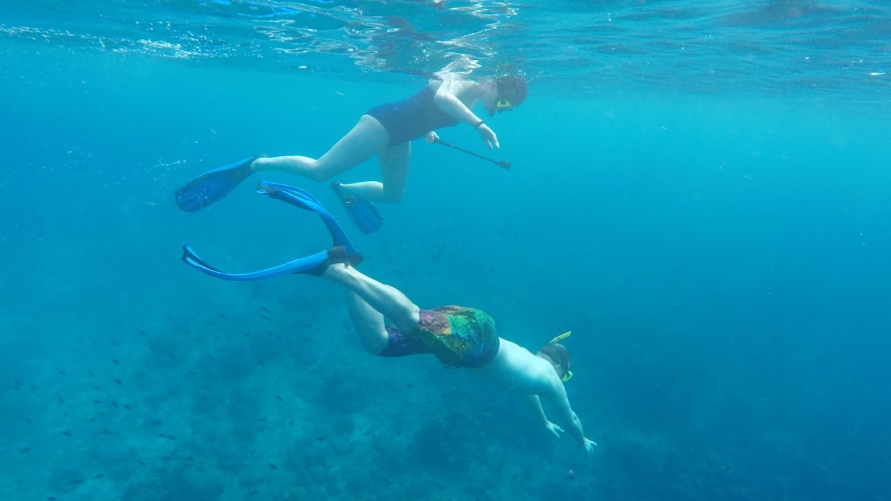 Zwemmen met een schildpad | Vloggloss 750