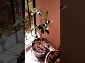 Хороший добрый день.
