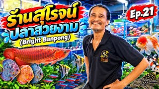 Surot Ornamental Fish Shop (Bright Banpong) 🐟 Ep.21