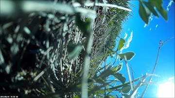 Day in the Life of a Mobius Action Cam