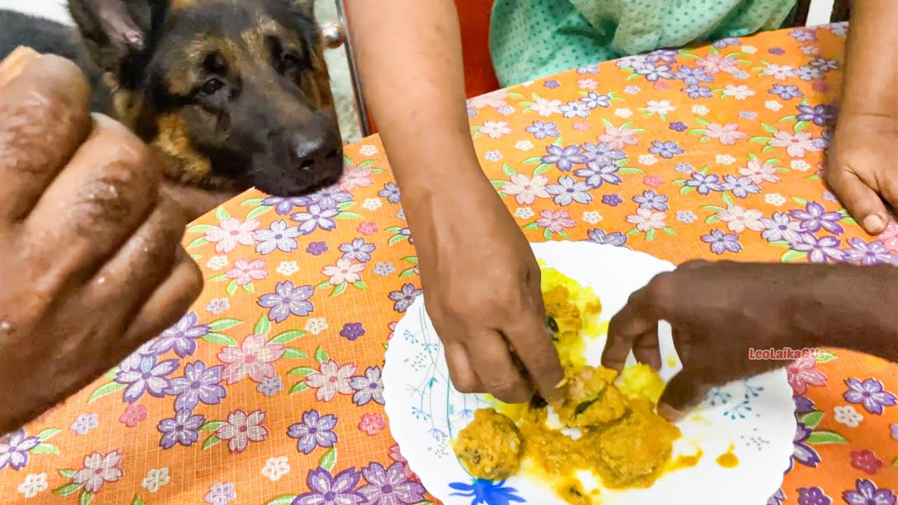 അപ്പോ പറഞ്ഞപോലെ ഇന്നൊരു variety ചിക്കൻ കറി with കപ്പ 😋| Chicken curry and tapioca