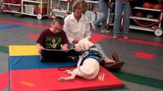 The Pit Crew In Atx Part 2 Of 2