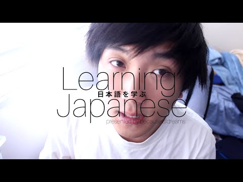 「Learn Japanese」 How-to say "I like/love/hate Y" with X はY が(好き/嫌い)です